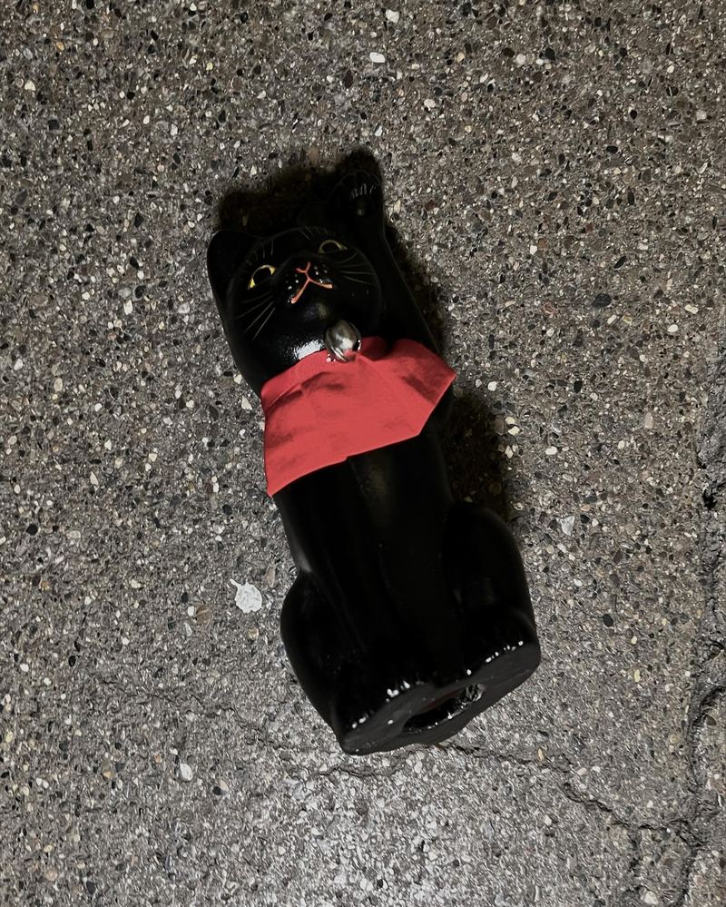 unshanoir object 11